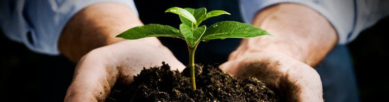 Lidingö Blomsterfond 2025-12-04 16:58:15